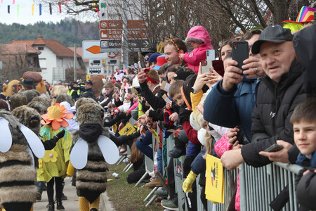ZLATA POROKA PUSTNI KARNEVAL 52 FOTO LJUBO VUKELIČ